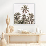 Shop Summer Palms Light II (Square) Art Print a coastal themed painted wall art print from The Print Emporium wall artwork collection - Buy Australian made fine art painting style poster and framed prints for the home and your interior decor room, TPE-436-AP