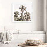 Shop Summer Palms Light II (Square) Art Print a coastal themed painted wall art print from The Print Emporium wall artwork collection - Buy Australian made fine art painting style poster and framed prints for the home and your interior decor room, TPE-436-AP