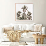 Shop Summer Palms Light II (Square) Art Print a coastal themed painted wall art print from The Print Emporium wall artwork collection - Buy Australian made fine art painting style poster and framed prints for the home and your interior decor room, TPE-436-AP