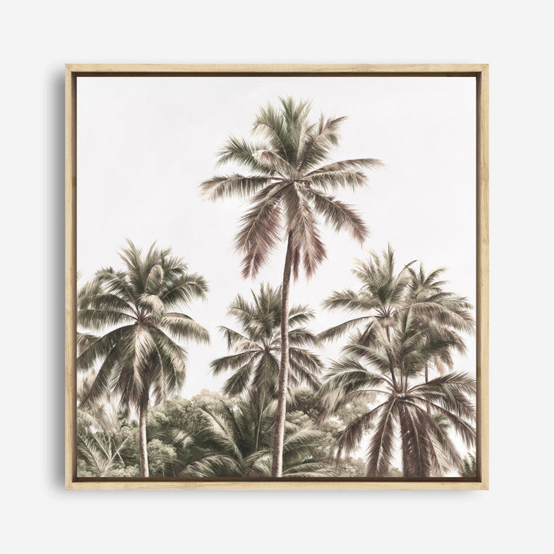 Shop Summer Palms Light II (Square) Canvas Print a coastal themed painted framed canvas wall art print from The Print Emporium artwork collection - Buy Australian made fine art painting style stretched canvas prints for the home and your interior decor space, TPE-436-CA-40X40-NF