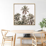 Shop Summer Palms Light II (Square) Canvas Print a coastal themed painted framed canvas wall art print from The Print Emporium artwork collection - Buy Australian made fine art painting style stretched canvas prints for the home and your interior decor space, TPE-436-CA-40X40-NF