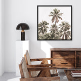 Shop Summer Palms Light II (Square) Canvas Print a coastal themed painted framed canvas wall art print from The Print Emporium artwork collection - Buy Australian made fine art painting style stretched canvas prints for the home and your interior decor space, TPE-436-CA-40X40-NF