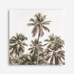 Shop Summer Palms Light II (Square) Canvas Print a coastal themed painted framed canvas wall art print from The Print Emporium artwork collection - Buy Australian made fine art painting style stretched canvas prints for the home and your interior decor space, TPE-436-CA-40X40-NF