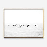 Shop Surf Point Photo Canvas Print a coastal themed photography framed stretched canvas print from The Print Emporium wall artwork collection - Buy Australian made prints for the home and your interior decor space, TPE-1184-CA-35X46-NF