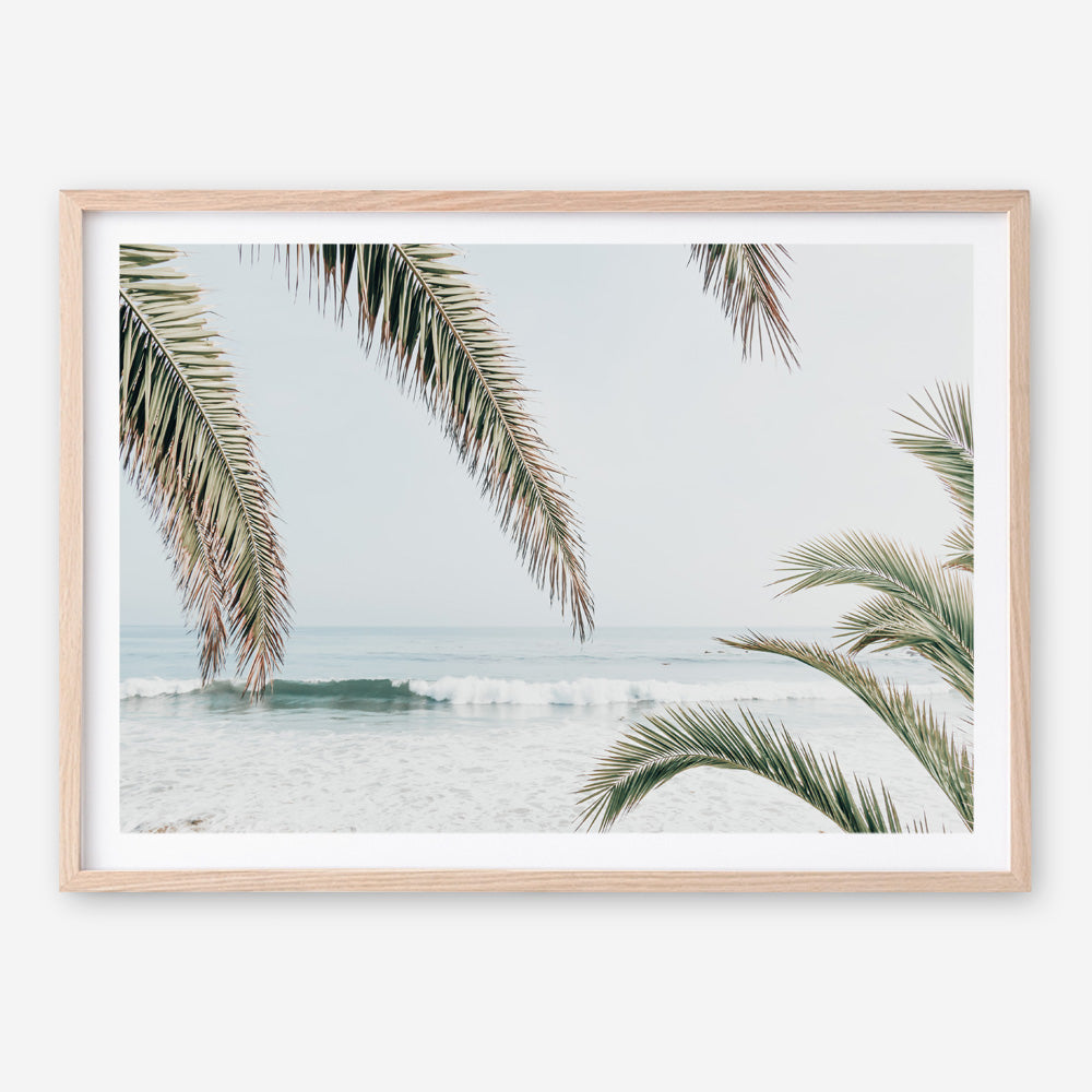 Shop Swaying Palms Photo Art Print a coastal themed photography wall art print from The Print Emporium wall artwork collection - Buy Australian made fine art poster and framed prints for the home and your interior decor, TPE-1196-AP