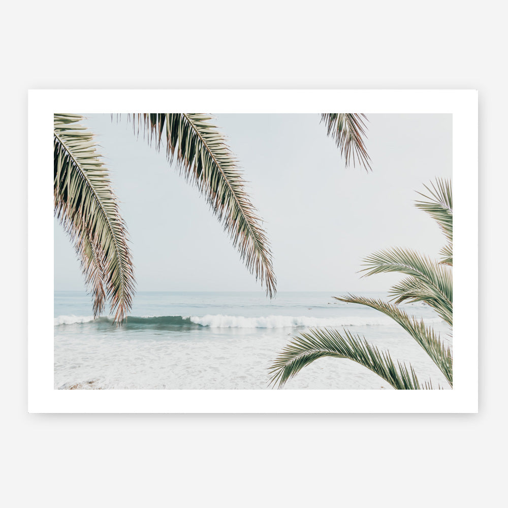 Shop Swaying Palms Photo Art Print a coastal themed photography wall art print from The Print Emporium wall artwork collection - Buy Australian made fine art poster and framed prints for the home and your interior decor, TPE-1196-AP