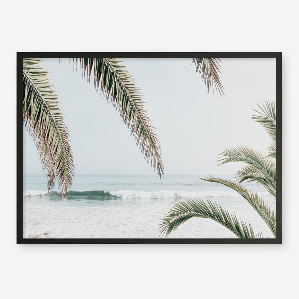 Shop Swaying Palms Photo Art Print a coastal themed photography wall art print from The Print Emporium wall artwork collection - Buy Australian made fine art poster and framed prints for the home and your interior decor, TPE-1196-AP