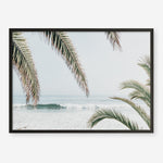 Shop Swaying Palms Photo Art Print a coastal themed photography wall art print from The Print Emporium wall artwork collection - Buy Australian made fine art poster and framed prints for the home and your interior decor, TPE-1196-AP