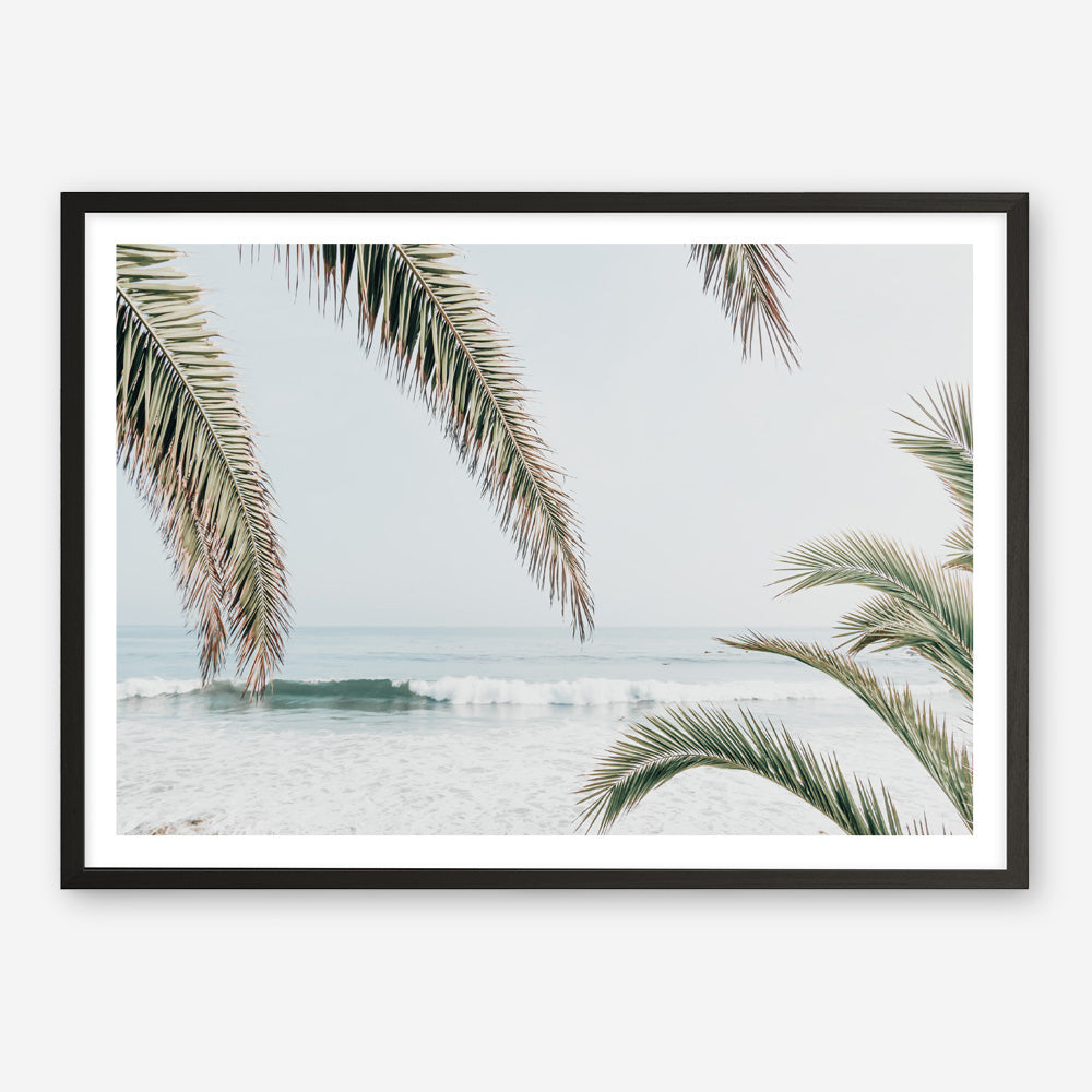 Shop Swaying Palms Photo Art Print a coastal themed photography wall art print from The Print Emporium wall artwork collection - Buy Australian made fine art poster and framed prints for the home and your interior decor, TPE-1196-AP