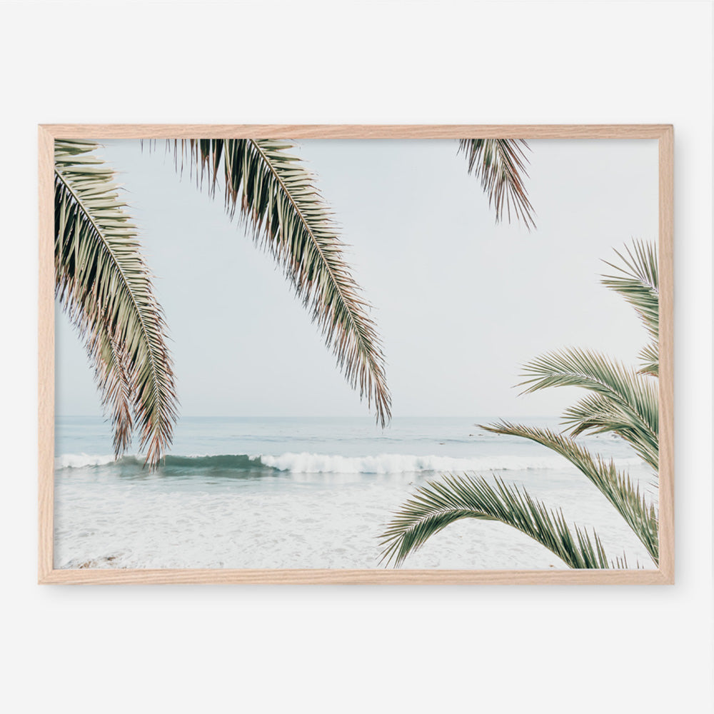 Shop Swaying Palms Photo Art Print a coastal themed photography wall art print from The Print Emporium wall artwork collection - Buy Australian made fine art poster and framed prints for the home and your interior decor, TPE-1196-AP
