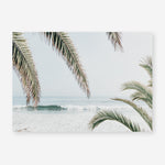 Shop Swaying Palms Photo Art Print a coastal themed photography wall art print from The Print Emporium wall artwork collection - Buy Australian made fine art poster and framed prints for the home and your interior decor, TPE-1196-AP