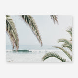 Shop Swaying Palms Photo Art Print a coastal themed photography wall art print from The Print Emporium wall artwork collection - Buy Australian made fine art poster and framed prints for the home and your interior decor, TPE-1196-AP