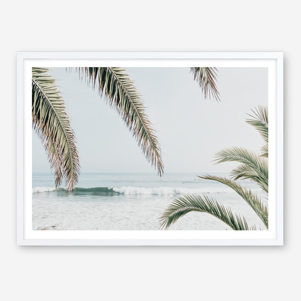 Shop Swaying Palms Photo Art Print a coastal themed photography wall art print from The Print Emporium wall artwork collection - Buy Australian made fine art poster and framed prints for the home and your interior decor, TPE-1196-AP