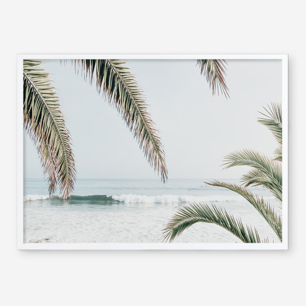 Shop Swaying Palms Photo Art Print a coastal themed photography wall art print from The Print Emporium wall artwork collection - Buy Australian made fine art poster and framed prints for the home and your interior decor, TPE-1196-AP