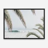 Shop Swaying Palms Photo Canvas Print a coastal themed photography framed stretched canvas print from The Print Emporium wall artwork collection - Buy Australian made prints for the home and your interior decor space, TPE-1196-CA-35X46-NF