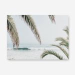 Shop Swaying Palms Photo Canvas Print a coastal themed photography framed stretched canvas print from The Print Emporium wall artwork collection - Buy Australian made prints for the home and your interior decor space, TPE-1196-CA-35X46-NF