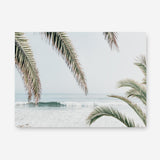 Shop Swaying Palms Photo Canvas Print a coastal themed photography framed stretched canvas print from The Print Emporium wall artwork collection - Buy Australian made prints for the home and your interior decor space, TPE-1196-CA-35X46-NF