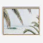 Shop Swaying Palms Photo Canvas Print a coastal themed photography framed stretched canvas print from The Print Emporium wall artwork collection - Buy Australian made prints for the home and your interior decor space, TPE-1196-CA-35X46-NF