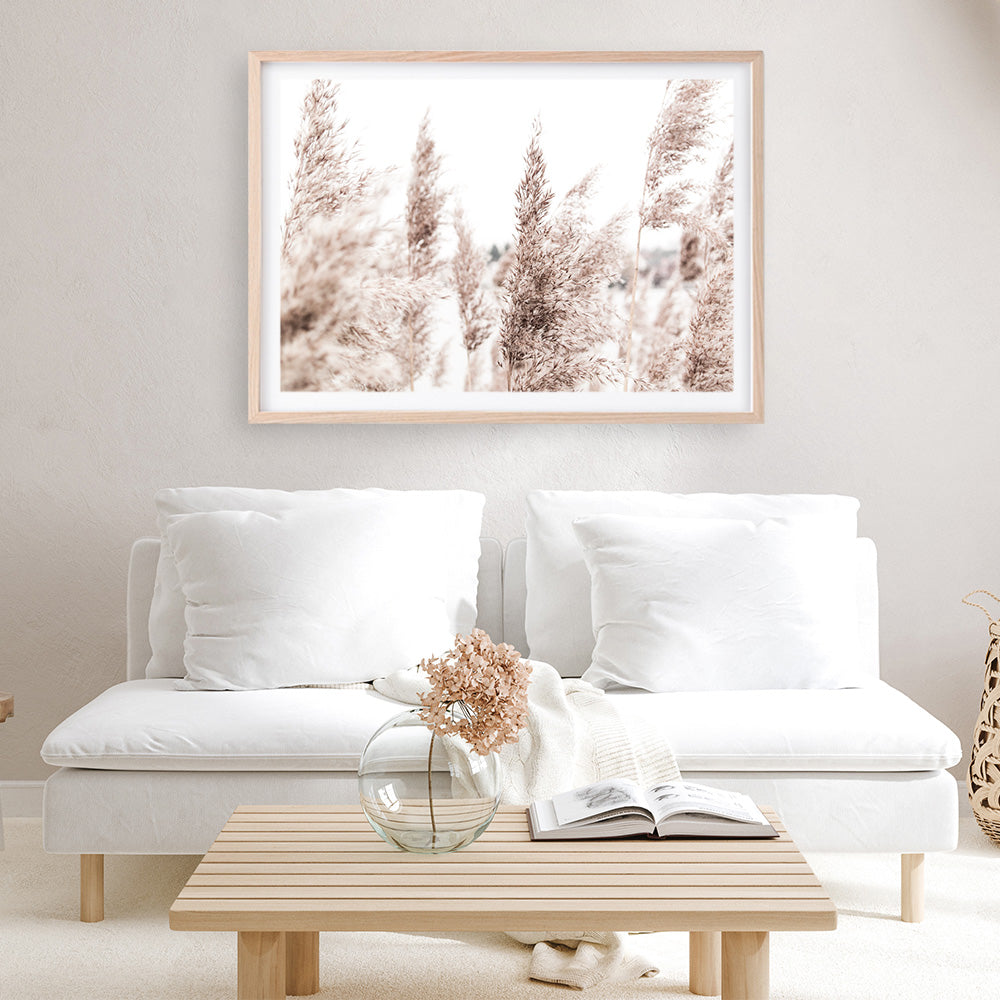 Shop Tall Pampas Grass Photo Art Print a coastal themed photography wall art print from The Print Emporium wall artwork collection - Buy Australian made fine art poster and framed prints for the home and your interior decor, TPE-914-AP