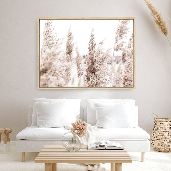 Shop Tall Pampas Grass Photo Canvas Print a coastal themed photography framed stretched canvas print from The Print Emporium wall artwork collection - Buy Australian made prints for the home and your interior decor space, TPE-914-CA-35X46-NF