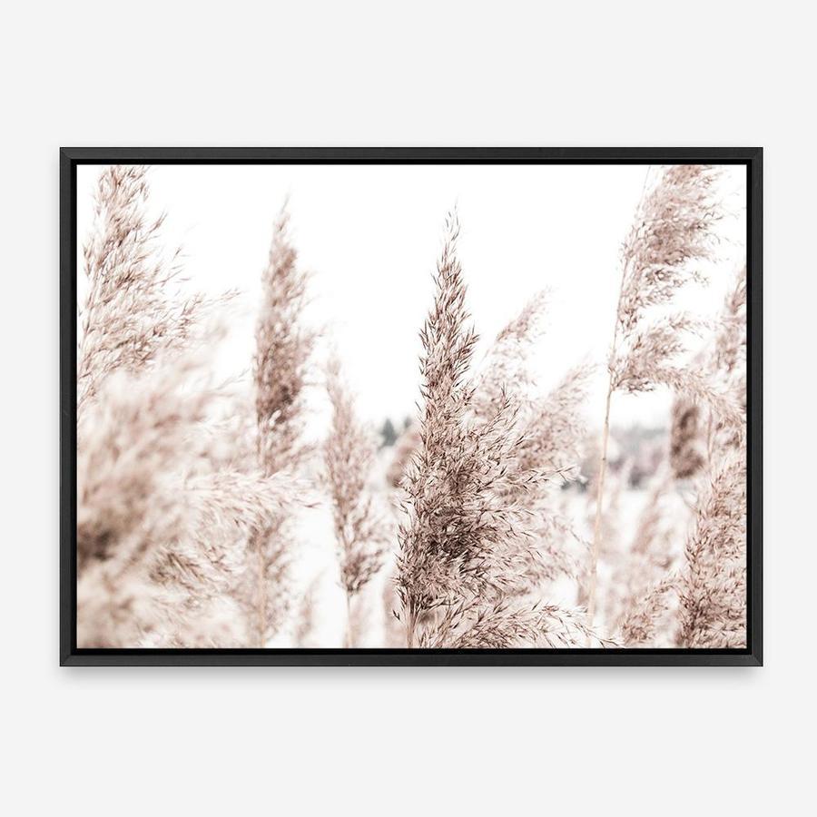 Shop Tall Pampas Grass Photo Canvas Print a coastal themed photography framed stretched canvas print from The Print Emporium wall artwork collection - Buy Australian made prints for the home and your interior decor space, TPE-914-CA-35X46-NF