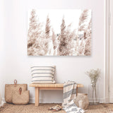 Shop Tall Pampas Grass Photo Canvas Print a coastal themed photography framed stretched canvas print from The Print Emporium wall artwork collection - Buy Australian made prints for the home and your interior decor space, TPE-914-CA-35X46-NF