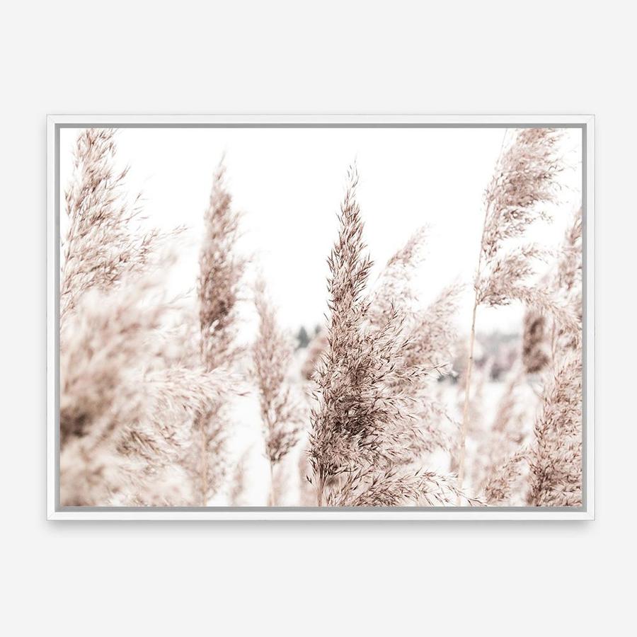 Shop Tall Pampas Grass Photo Canvas Print a coastal themed photography framed stretched canvas print from The Print Emporium wall artwork collection - Buy Australian made prints for the home and your interior decor space, TPE-914-CA-35X46-NF