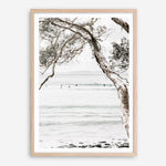 Shop Tea Tree Bay I Photo Art Print a coastal themed photography wall art print from The Print Emporium wall artwork collection - Buy Australian made fine art poster and framed prints for the home and your interior decor, TPE-615-AP