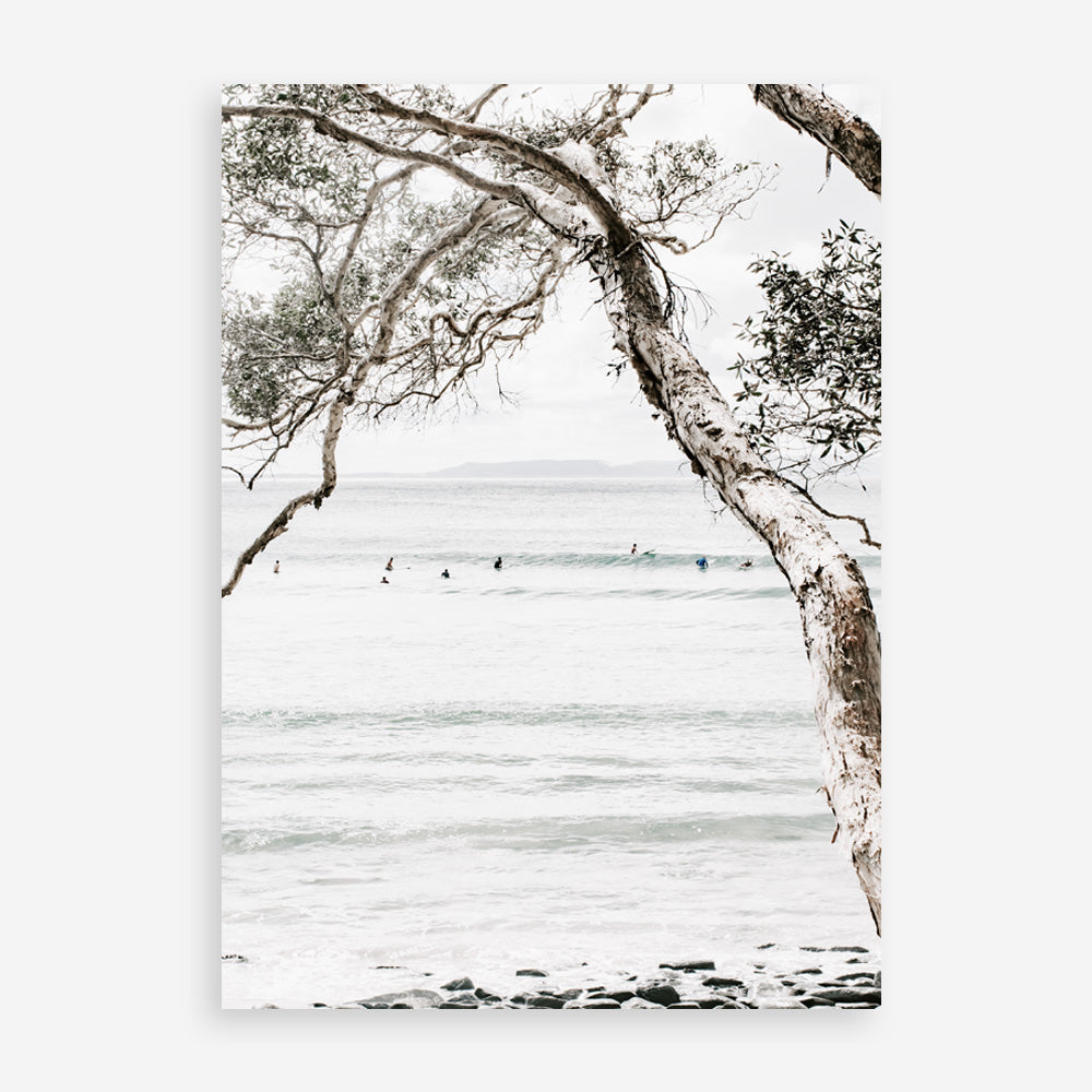 Shop Tea Tree Bay I Photo Art Print a coastal themed photography wall art print from The Print Emporium wall artwork collection - Buy Australian made fine art poster and framed prints for the home and your interior decor, TPE-615-AP