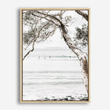 Shop Tea Tree Bay I Photo Canvas Print a coastal themed photography framed stretched canvas print from The Print Emporium wall artwork collection - Buy Australian made prints for the home and your interior decor space, TPE-615-CA-35X46-NF