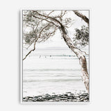 Shop Tea Tree Bay I Photo Canvas Print a coastal themed photography framed stretched canvas print from The Print Emporium wall artwork collection - Buy Australian made prints for the home and your interior decor space, TPE-615-CA-35X46-NF