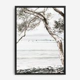 Shop Tea Tree Bay I Photo Canvas Print a coastal themed photography framed stretched canvas print from The Print Emporium wall artwork collection - Buy Australian made prints for the home and your interior decor space, TPE-615-CA-35X46-NF