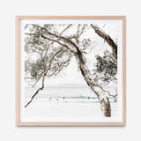 Shop Tea Tree Bay (Square) Photo Art Print a coastal themed photography wall art print from The Print Emporium wall artwork collection - Buy Australian made fine art poster and framed prints for the home and your interior decor, TPE-627-AP