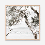 Shop Tea Tree Bay (Square) Photo Art Print a coastal themed photography wall art print from The Print Emporium wall artwork collection - Buy Australian made fine art poster and framed prints for the home and your interior decor, TPE-627-AP
