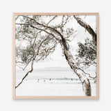 Shop Tea Tree Bay (Square) Photo Art Print a coastal themed photography wall art print from The Print Emporium wall artwork collection - Buy Australian made fine art poster and framed prints for the home and your interior decor, TPE-627-AP