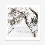 Shop Tea Tree Bay (Square) Photo Art Print a coastal themed photography wall art print from The Print Emporium wall artwork collection - Buy Australian made fine art poster and framed prints for the home and your interior decor, TPE-627-AP
