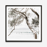 Shop Tea Tree Bay (Square) Photo Art Print a coastal themed photography wall art print from The Print Emporium wall artwork collection - Buy Australian made fine art poster and framed prints for the home and your interior decor, TPE-627-AP