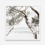 Shop Tea Tree Bay (Square) Photo Art Print a coastal themed photography wall art print from The Print Emporium wall artwork collection - Buy Australian made fine art poster and framed prints for the home and your interior decor, TPE-627-AP