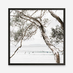 Shop Tea Tree Bay (Square) Photo Art Print a coastal themed photography wall art print from The Print Emporium wall artwork collection - Buy Australian made fine art poster and framed prints for the home and your interior decor, TPE-627-AP