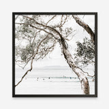 Shop Tea Tree Bay (Square) Photo Art Print a coastal themed photography wall art print from The Print Emporium wall artwork collection - Buy Australian made fine art poster and framed prints for the home and your interior decor, TPE-627-AP