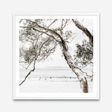 Shop Tea Tree Bay (Square) Photo Art Print a coastal themed photography wall art print from The Print Emporium wall artwork collection - Buy Australian made fine art poster and framed prints for the home and your interior decor, TPE-627-AP