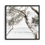 Shop Tea Tree Bay (Square) Photo Canvas a coastal themed photography framed stretched canvas print from The Print Emporium wall artwork collection - Buy Australian made prints for the home and your interior decor space, TPE-627-CA-40X40-NF