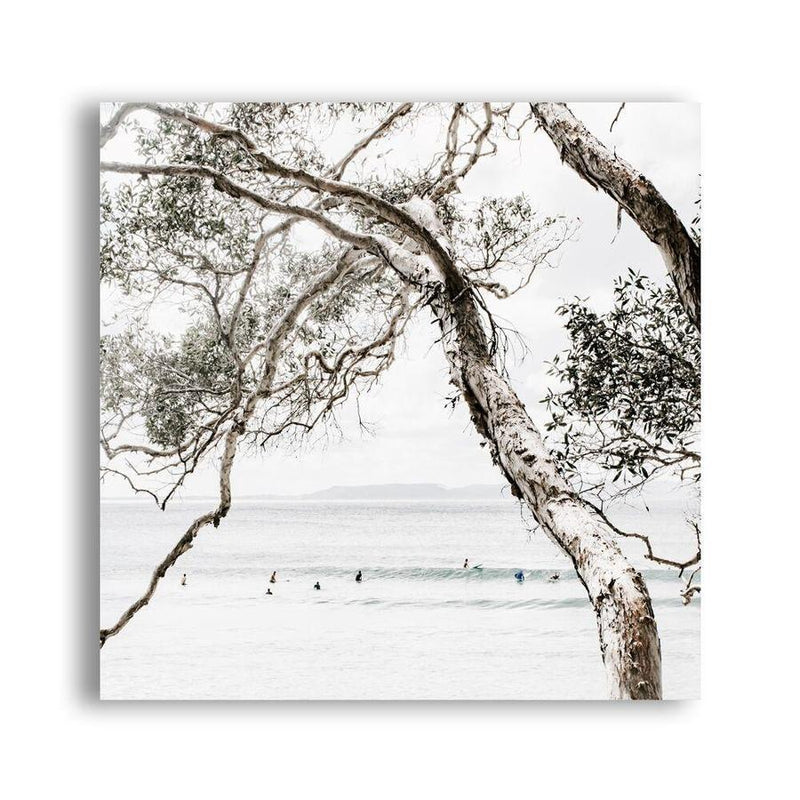 Shop Tea Tree Bay (Square) Photo Canvas a coastal themed photography framed stretched canvas print from The Print Emporium wall artwork collection - Buy Australian made prints for the home and your interior decor space, TPE-627-CA-40X40-NF
