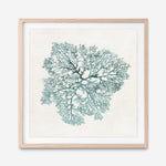 Shop Teal Coral I (Square) Art Print a painted style wall art print from The Print Emporium wall artwork collection - Buy Australian made fine art painting style poster and framed prints for the home and your interior decor room, TPE-PC-WL427-AP
