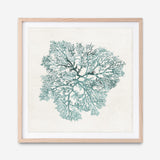 Shop Teal Coral I (Square) Art Print a painted style wall art print from The Print Emporium wall artwork collection - Buy Australian made fine art painting style poster and framed prints for the home and your interior decor room, TPE-PC-WL427-AP