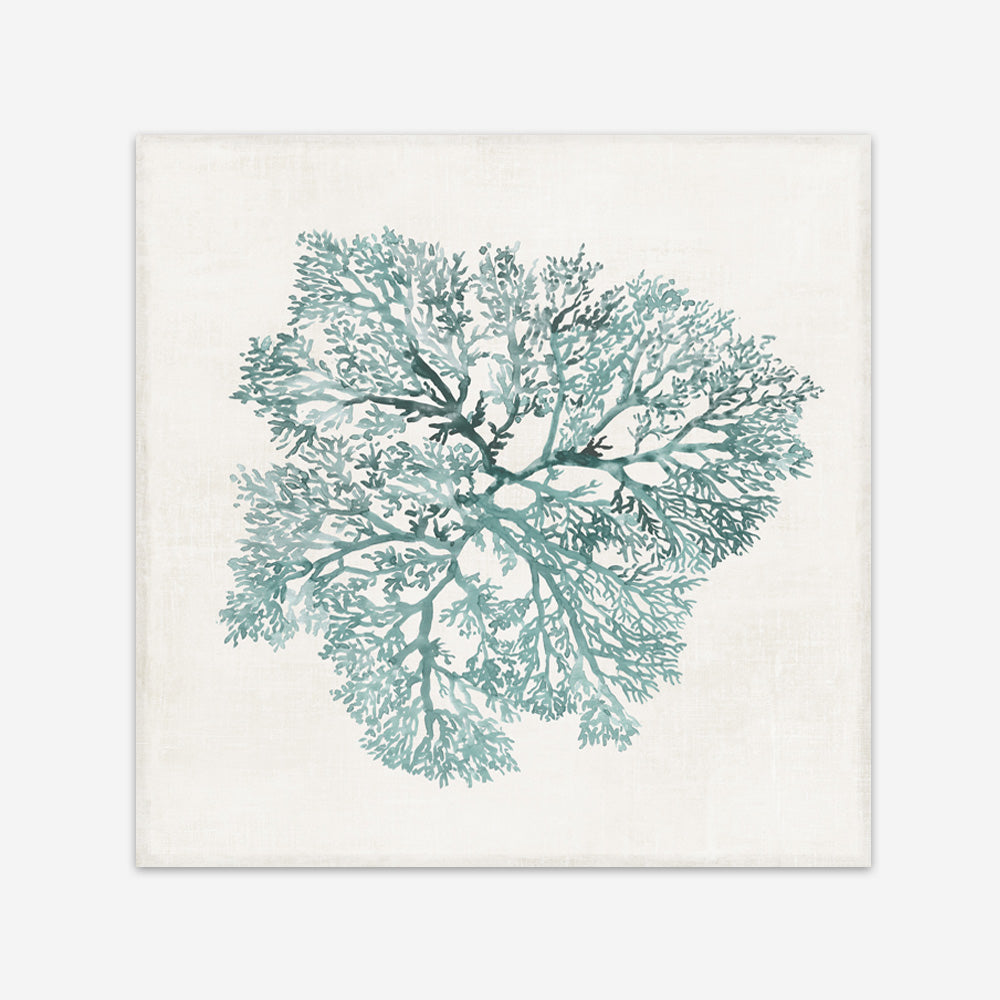 Shop Teal Coral I (Square) Art Print a painted style wall art print from The Print Emporium wall artwork collection - Buy Australian made fine art painting style poster and framed prints for the home and your interior decor room, TPE-PC-WL427-AP