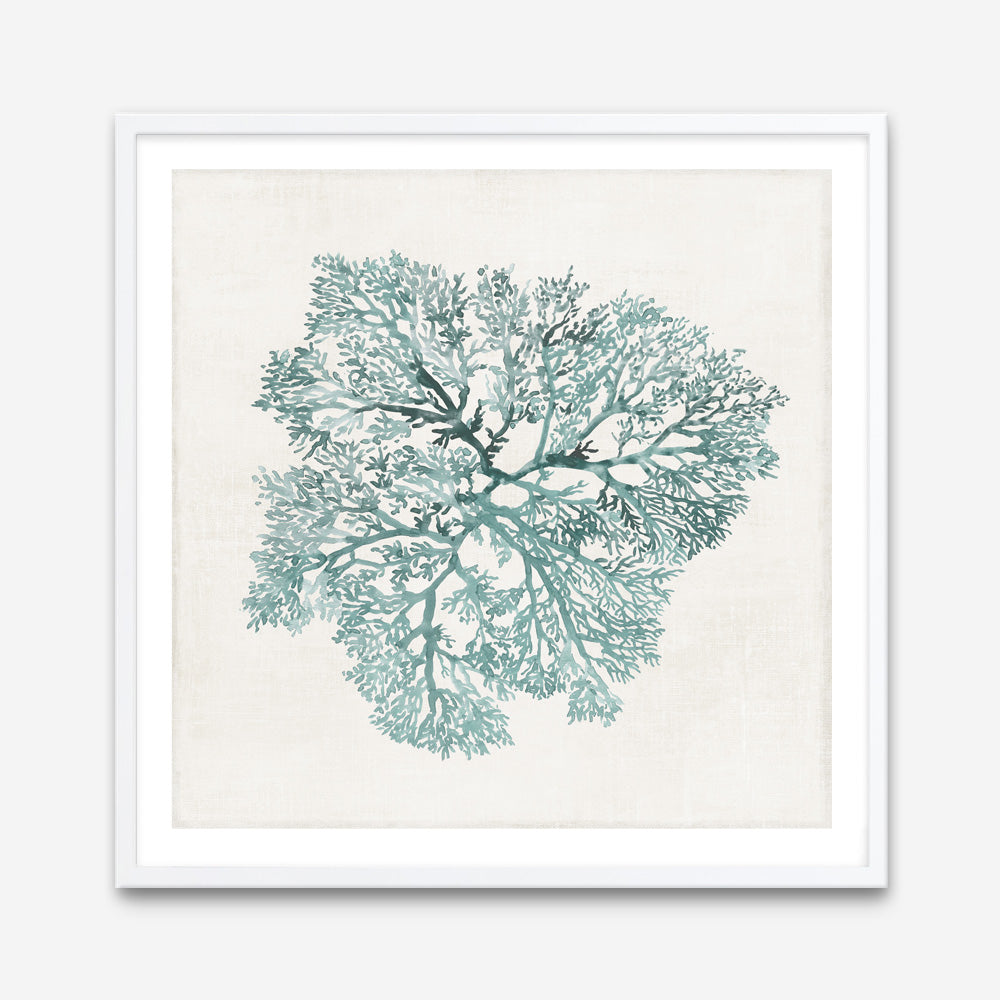 Shop Teal Coral I (Square) Art Print a painted style wall art print from The Print Emporium wall artwork collection - Buy Australian made fine art painting style poster and framed prints for the home and your interior decor room, TPE-PC-WL427-AP
