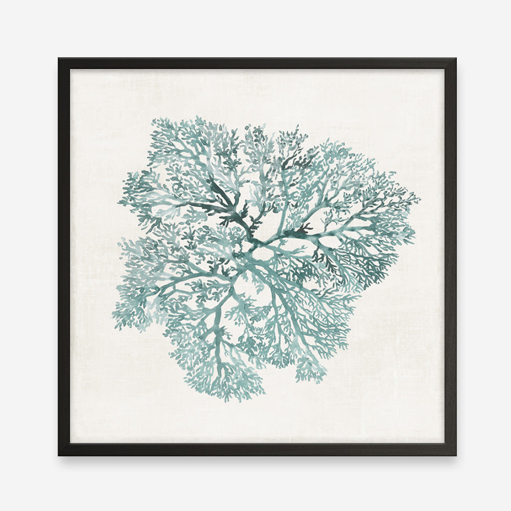 Shop Teal Coral I (Square) Art Print a painted style wall art print from The Print Emporium wall artwork collection - Buy Australian made fine art painting style poster and framed prints for the home and your interior decor room, TPE-PC-WL427-AP