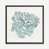 Shop Teal Coral I (Square) Art Print a painted style wall art print from The Print Emporium wall artwork collection - Buy Australian made fine art painting style poster and framed prints for the home and your interior decor room, TPE-PC-WL427-AP