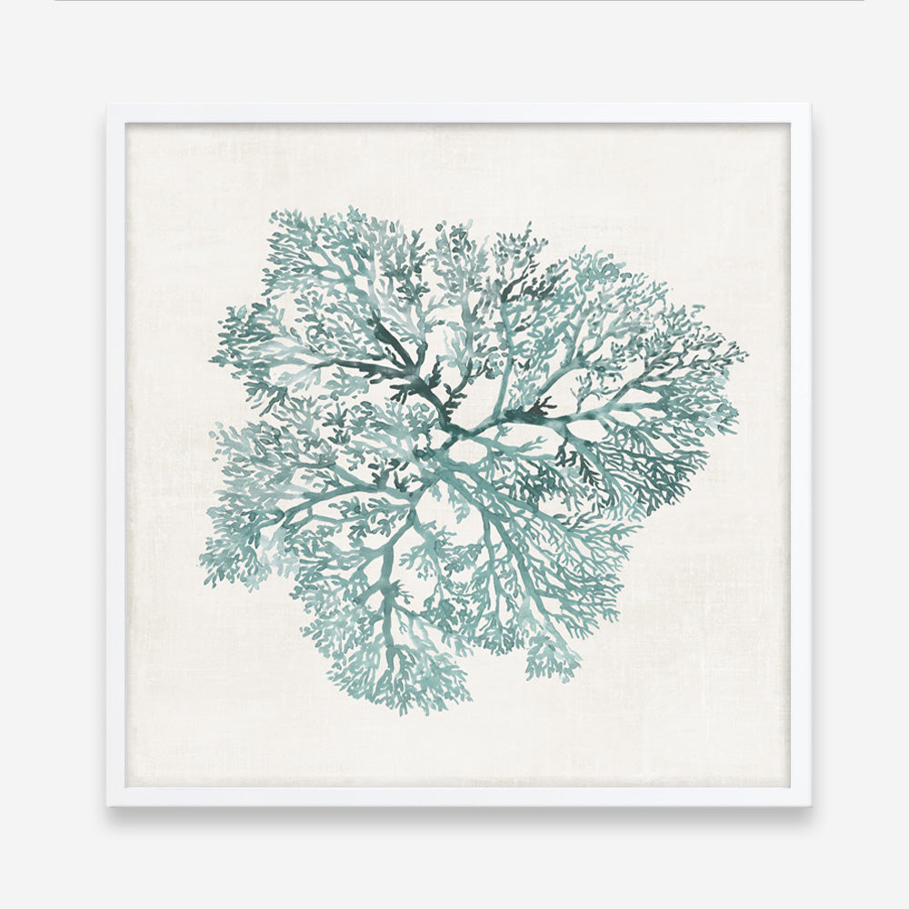 Shop Teal Coral I (Square) Art Print a painted style wall art print from The Print Emporium wall artwork collection - Buy Australian made fine art painting style poster and framed prints for the home and your interior decor room, TPE-PC-WL427-AP